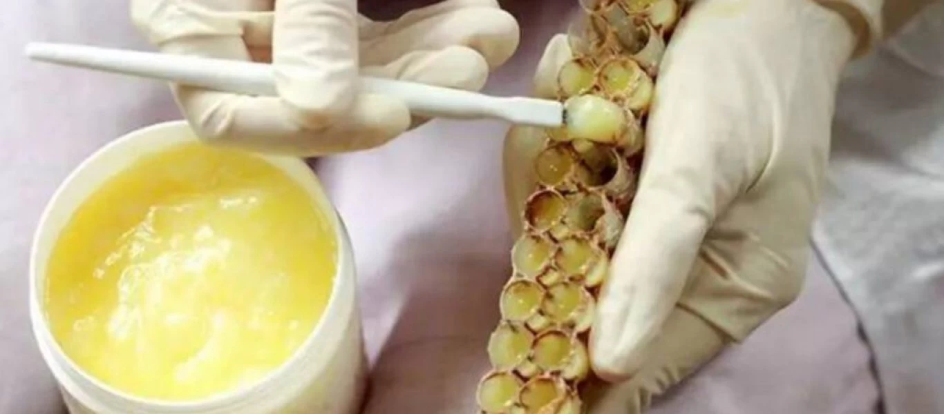 Βασιλικός πολτός: Τα πολλαπλά οφέλη για την υγεία μας και οι πιθανές παρενέργειες